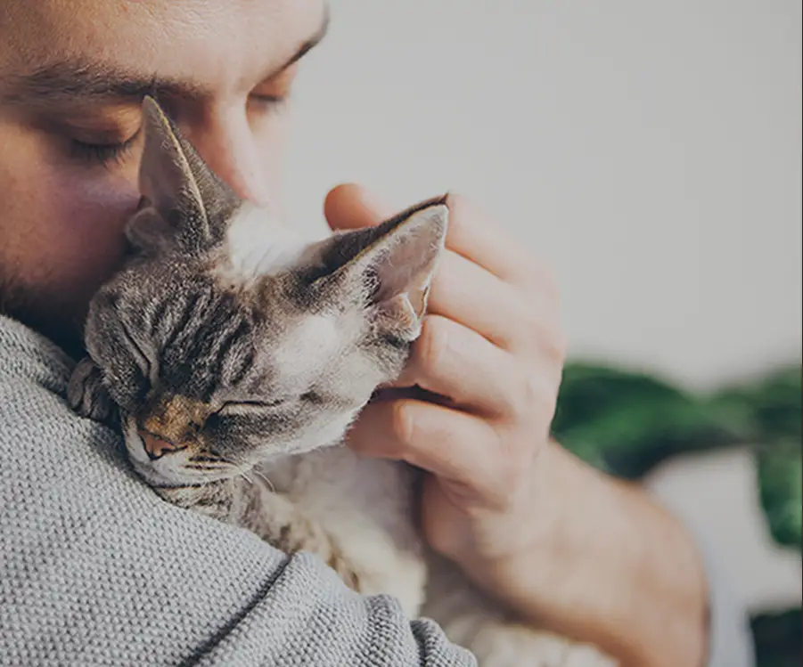 プレミアムなペット葬儀イメージ画像2